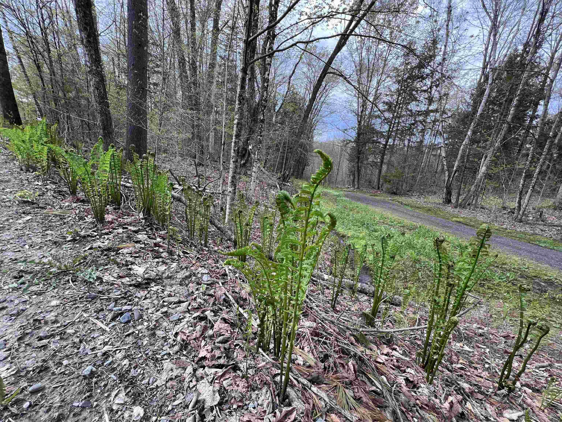 Tbd Rathburn Road Woodbury VT 05681
