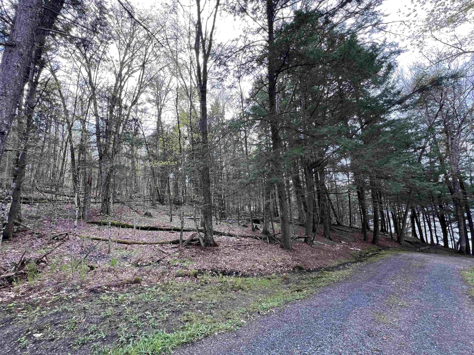 Tbd Rathburn Road Woodbury VT 05681