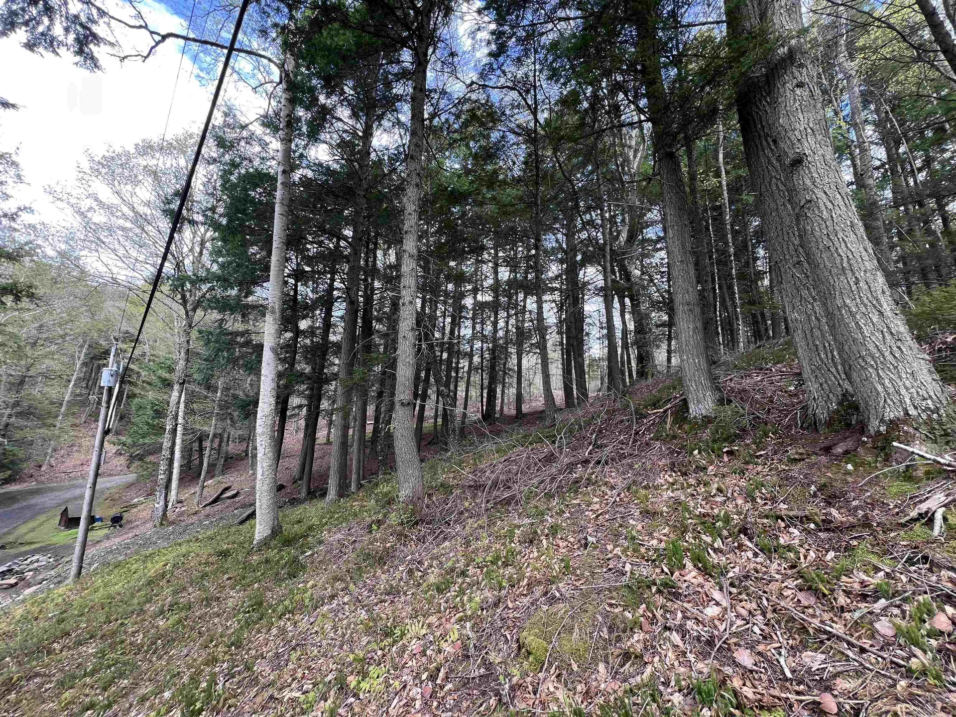 Tbd Rathburn Road Woodbury VT 05681