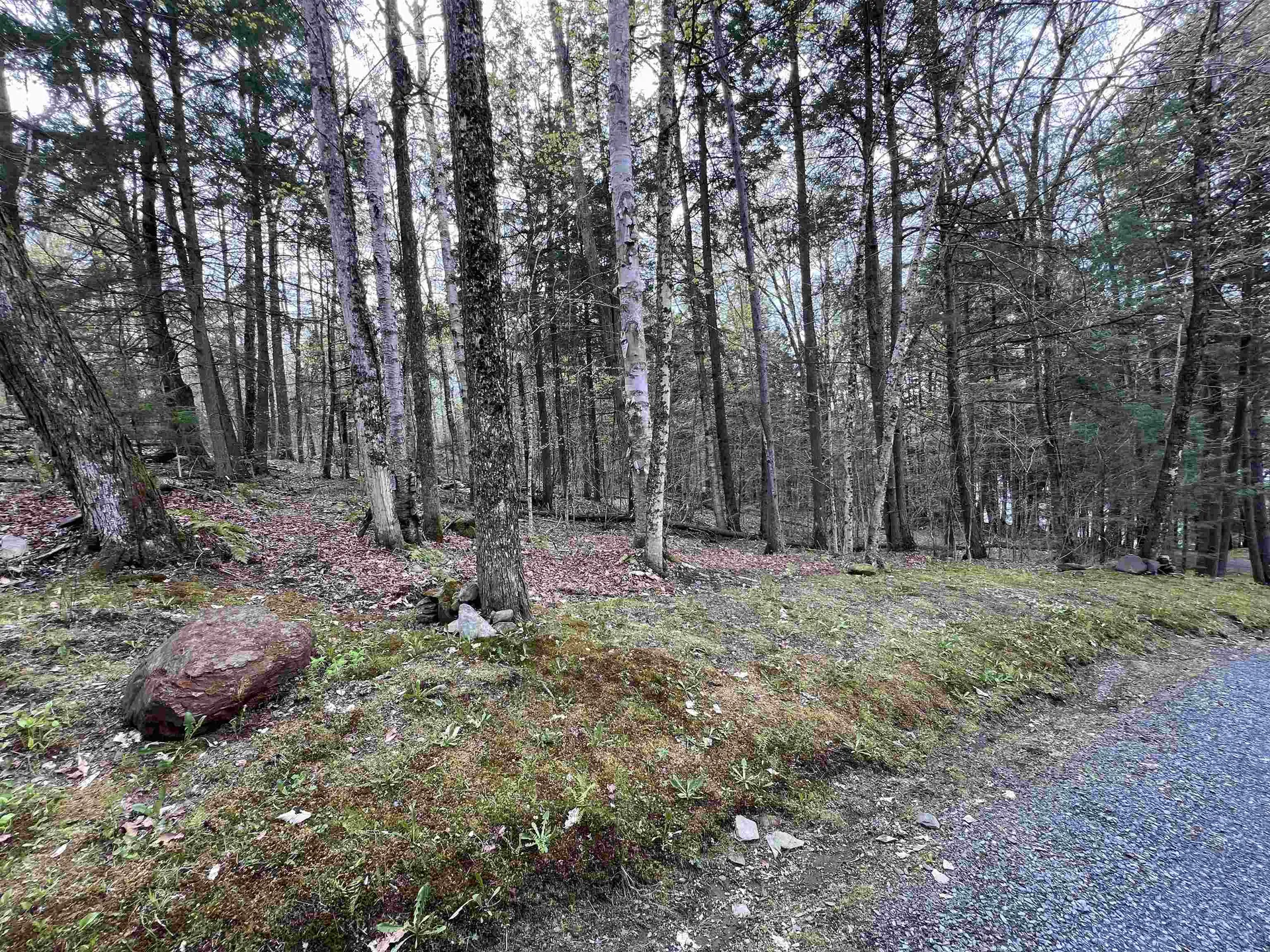 Tbd Rathburn Road Woodbury VT 05681
