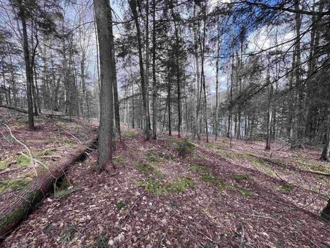 Tbd Rathburn Road Woodbury VT 05681