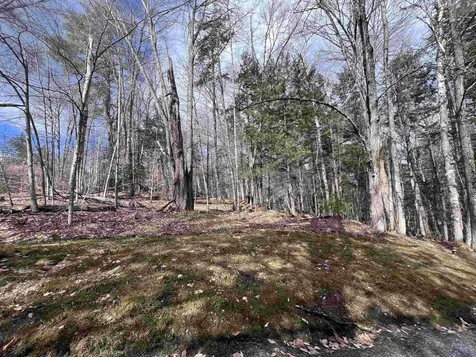 Tbd Rathburn Road Woodbury VT 05681