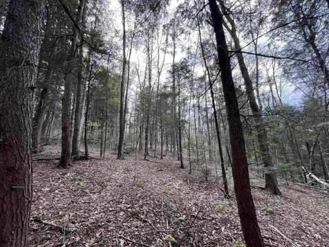 Tbd Rathburn Road Woodbury VT 05681