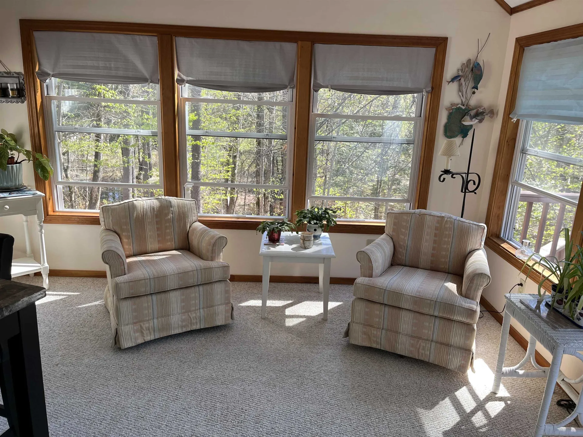 53 Trout Run Effingham NH 03882