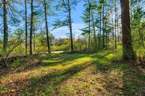 5 Spicebush Circle Litchfield NH 03052