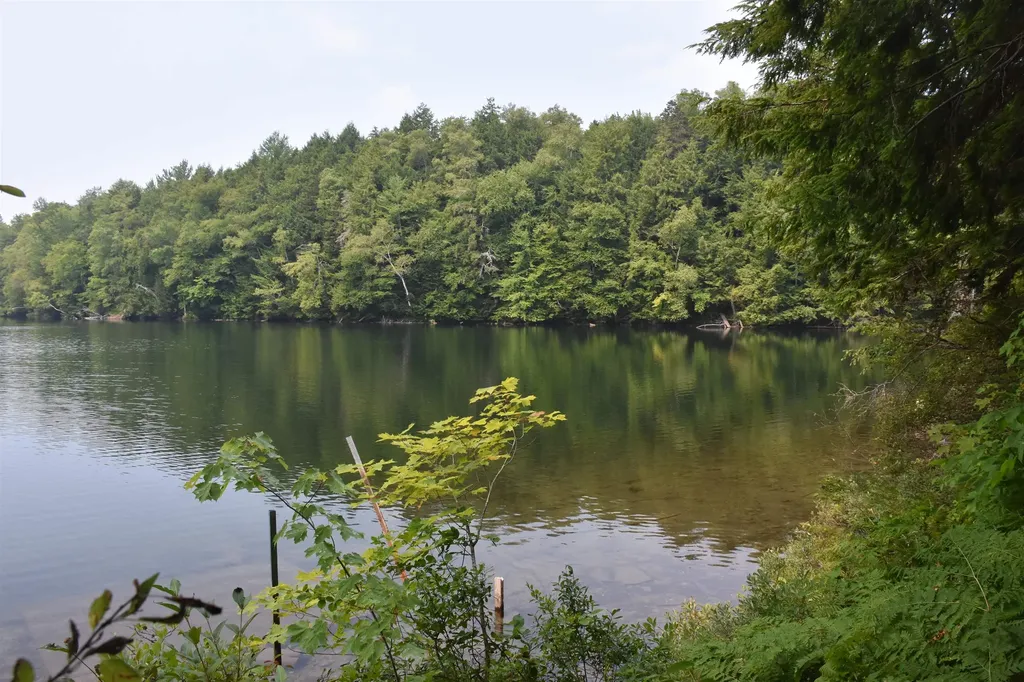 195 Meadow Lane Woodbury VT 05681