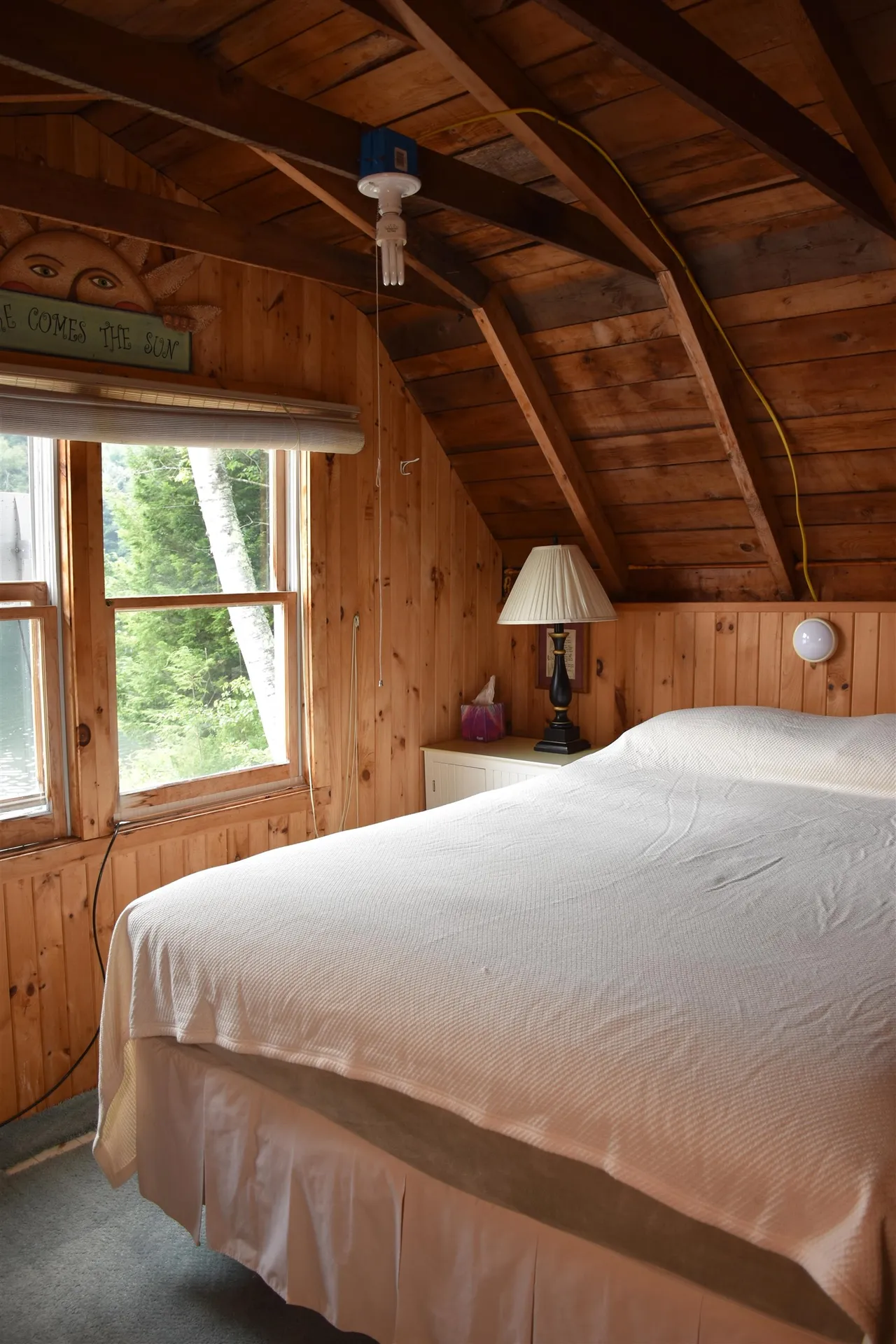 195 Meadow Lane Woodbury VT 05681