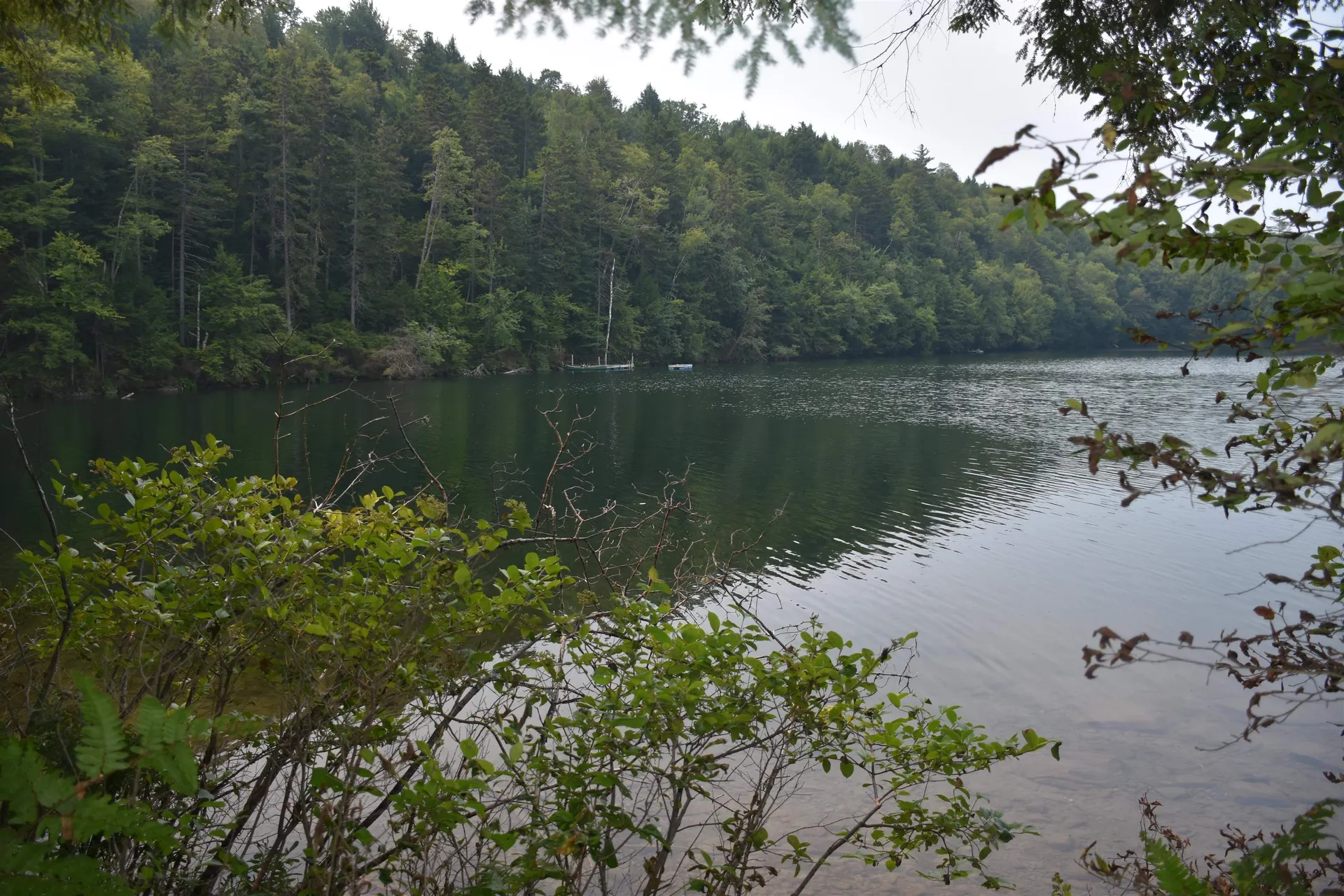 195 Meadow Lane Woodbury VT 05681