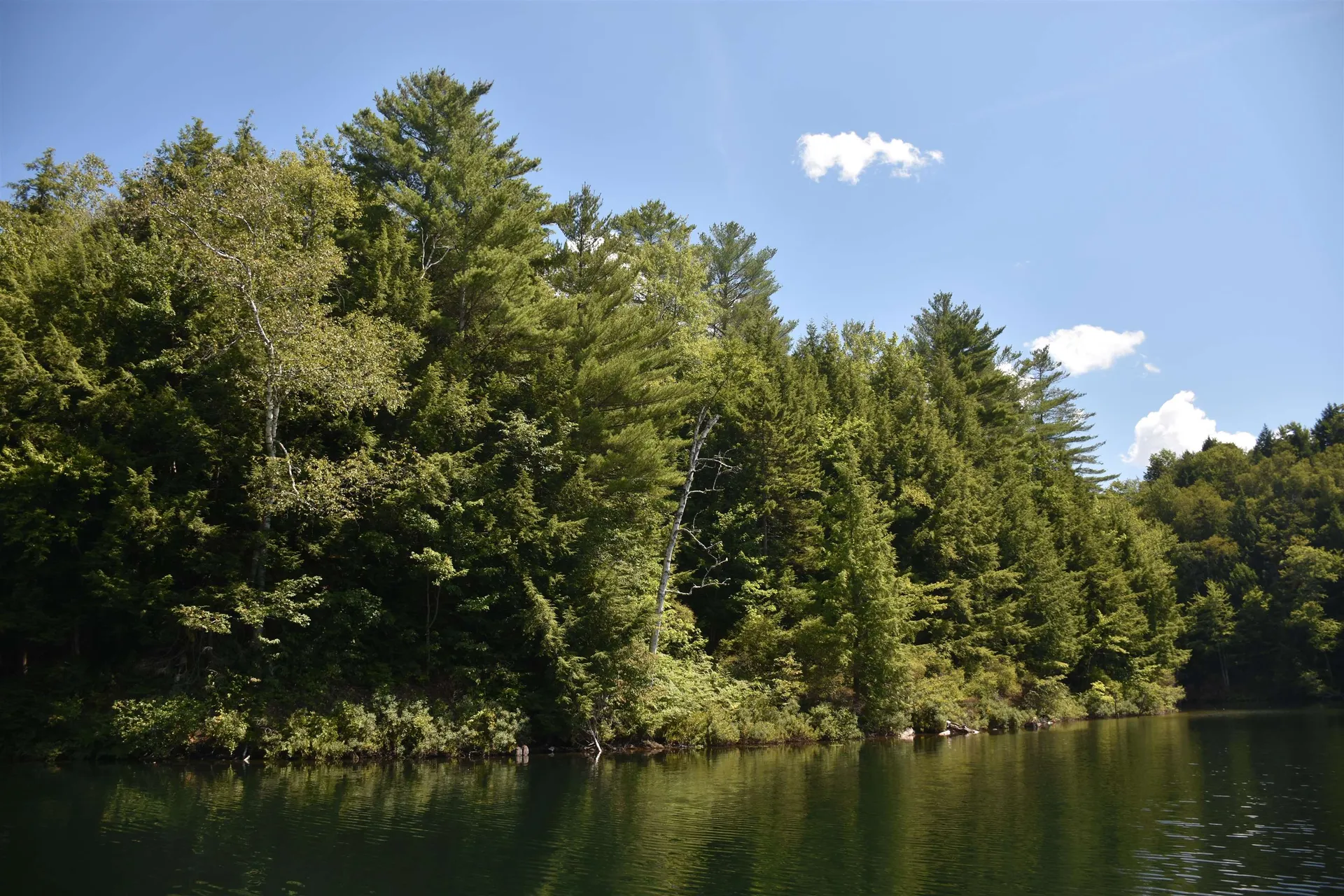 195 Meadow Lane Woodbury VT 05681