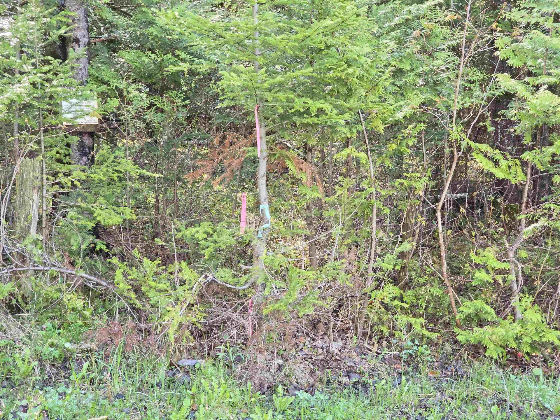 000 Old Coach Road Lyndon VT 05851