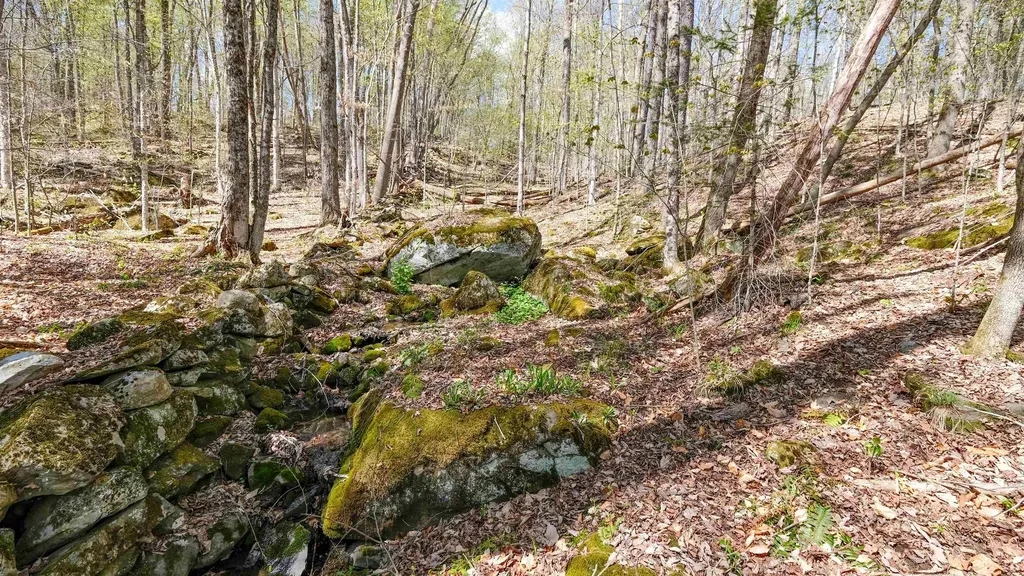 269 Hawkins Road Wallingford VT 05773
