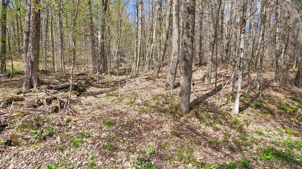 269 Hawkins Road Wallingford VT 05773