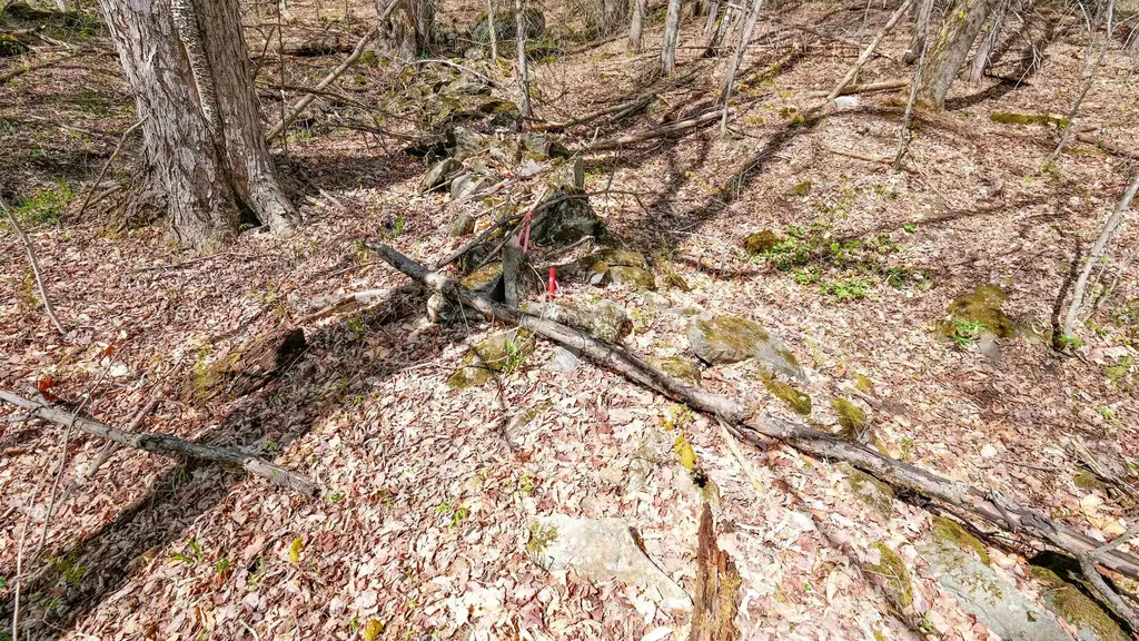 269 Hawkins Road Wallingford VT 05773