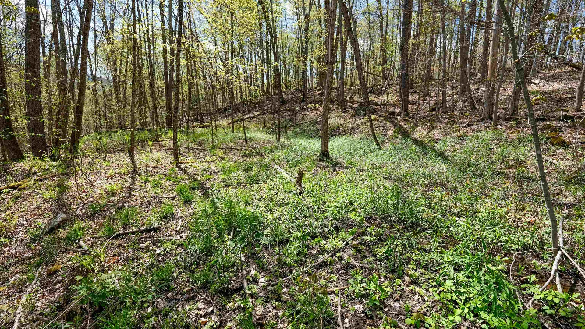 269 Hawkins Road Wallingford VT 05773