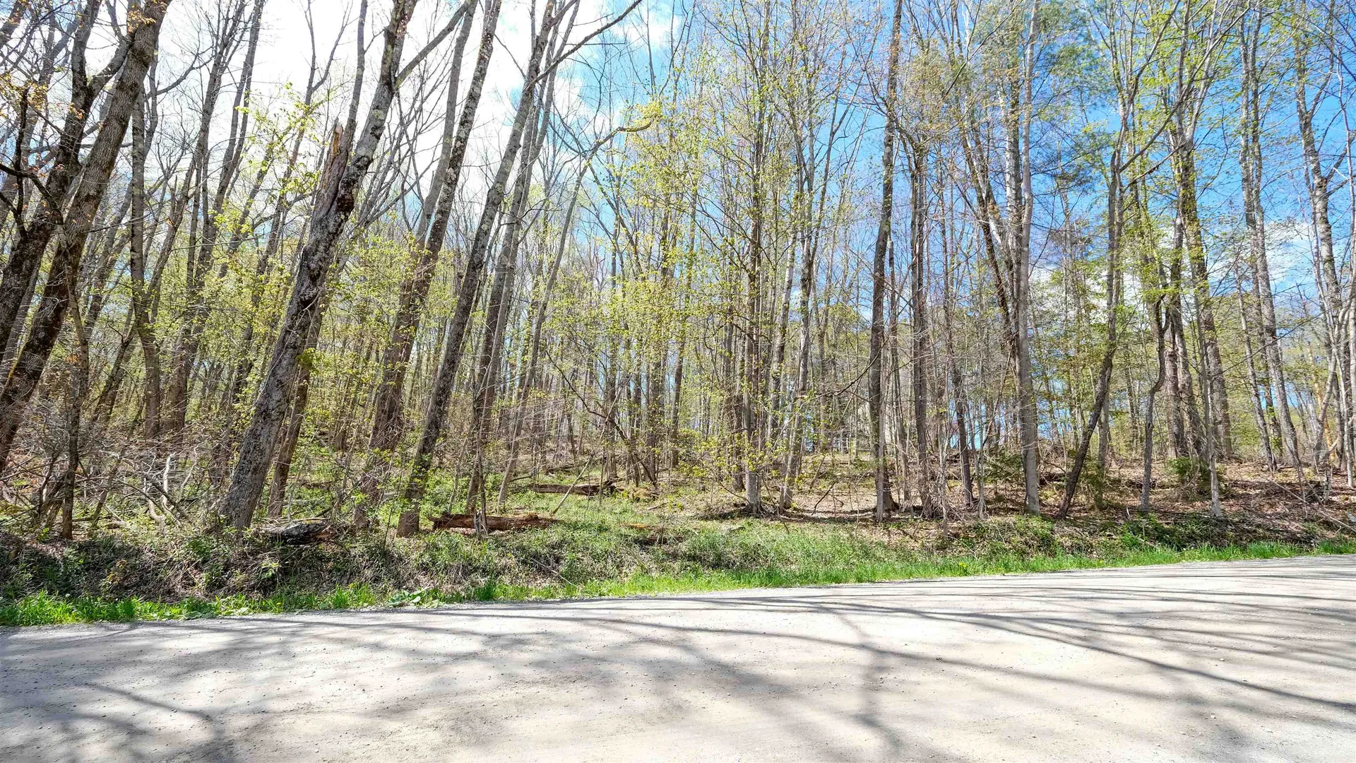 269 Hawkins Road Wallingford VT 05773
