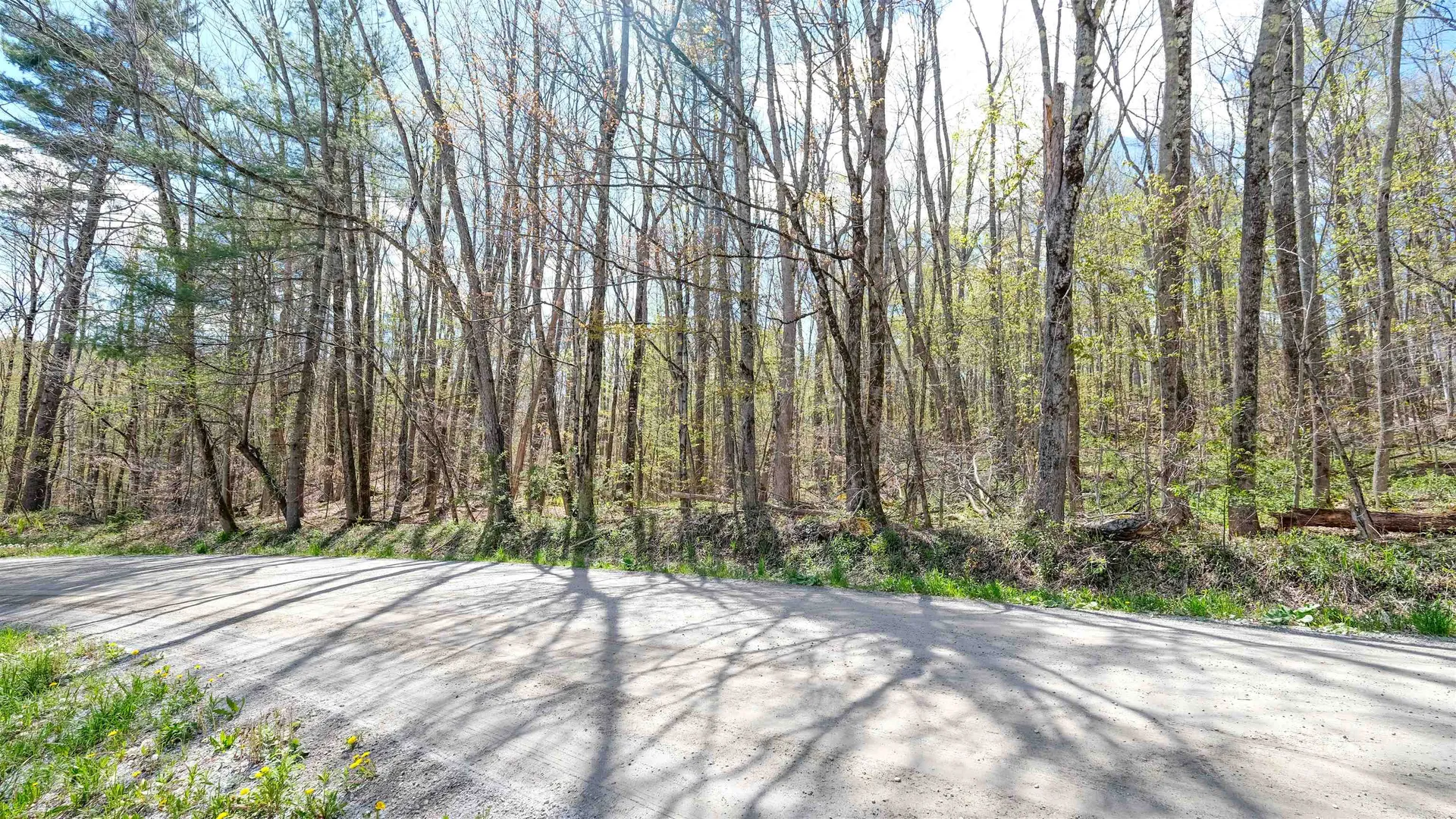 269 Hawkins Road Wallingford VT 05773