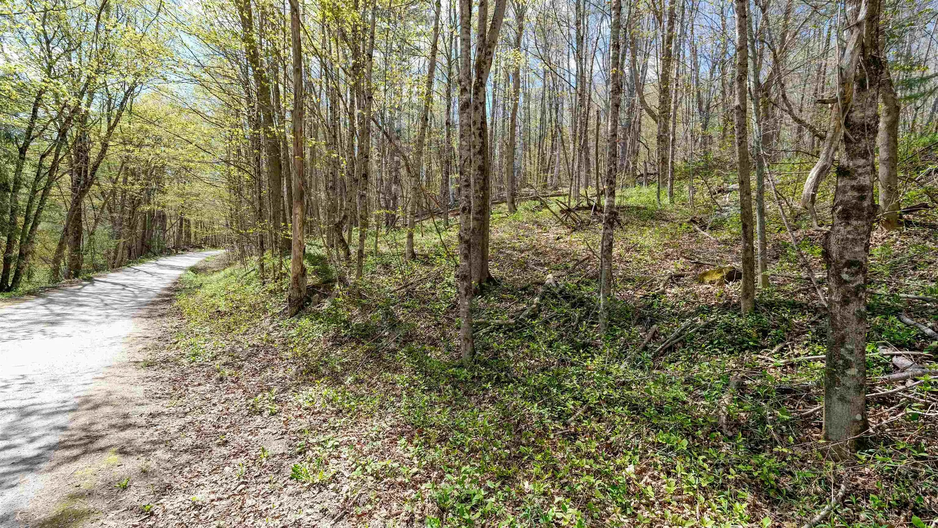 269 Hawkins Road Wallingford VT 05773