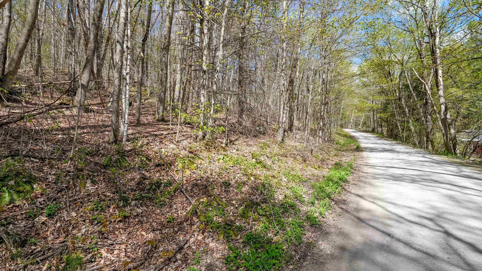 269 Hawkins Road Wallingford VT 05773