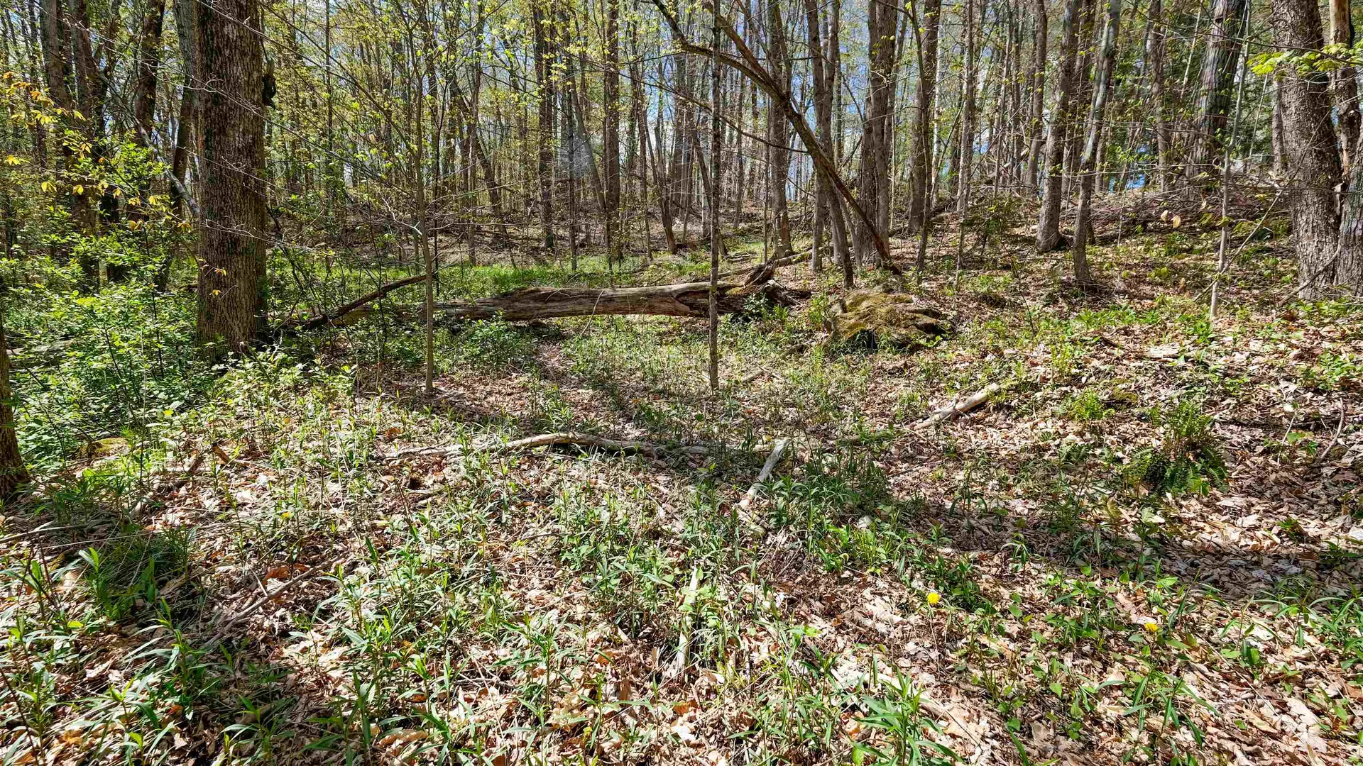 269 Hawkins Road Wallingford VT 05773