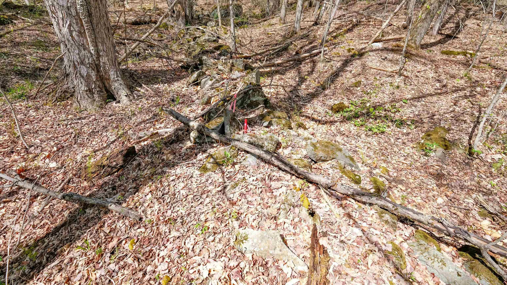269 Hawkins Road Wallingford VT 05773