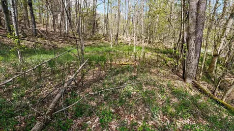 269 Hawkins Road Wallingford VT 05773