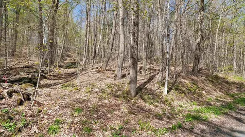 269 Hawkins Road Wallingford VT 05773