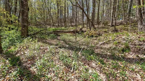 269 Hawkins Road Wallingford VT 05773