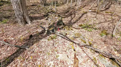 269 Hawkins Road Wallingford VT 05773