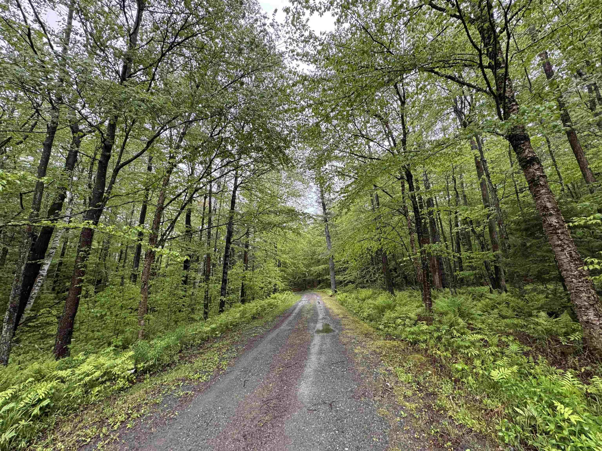 1871 West Hill Road Townshend VT 05353