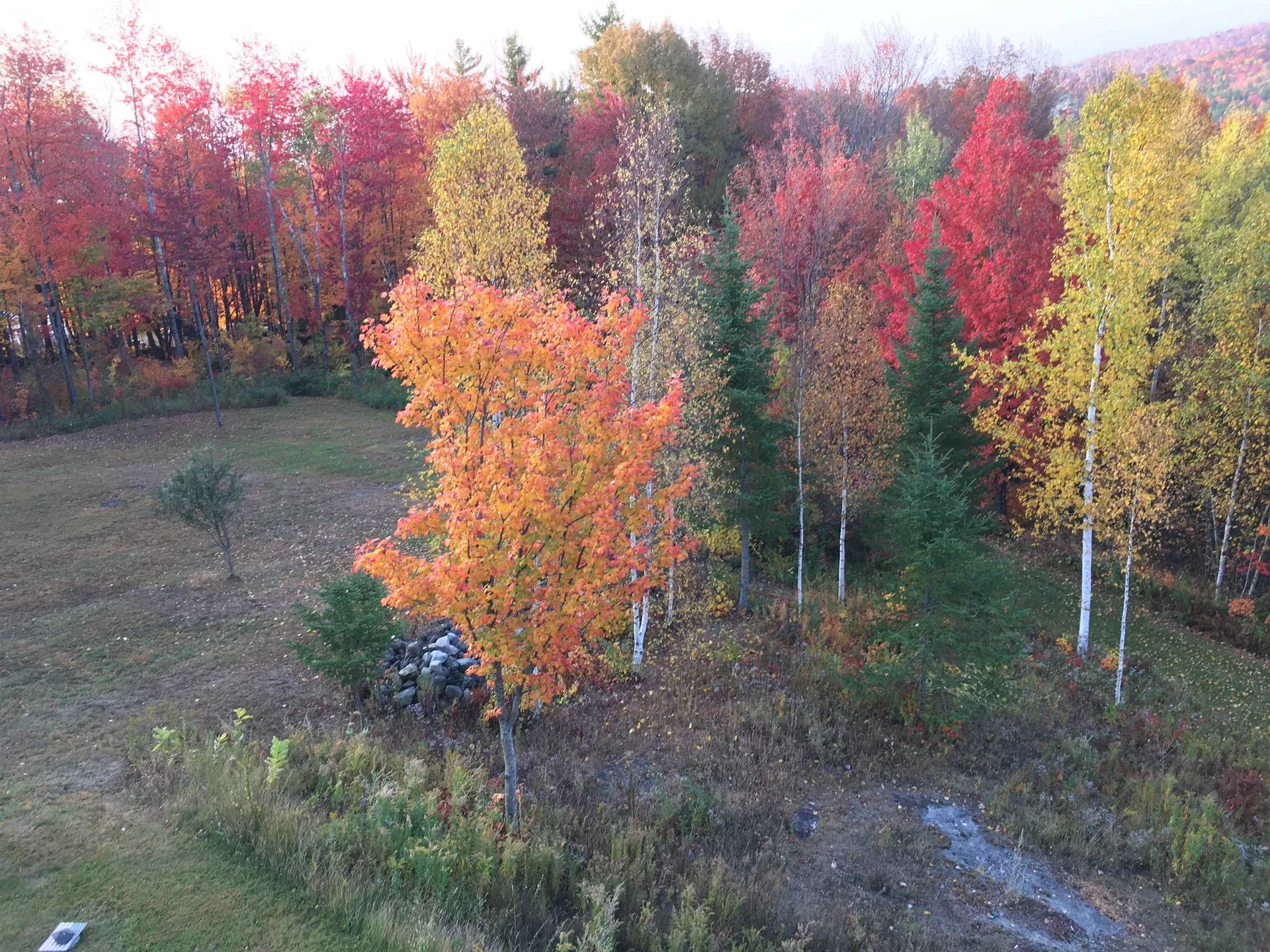 223 Goudreault Road Concord VT 05824
