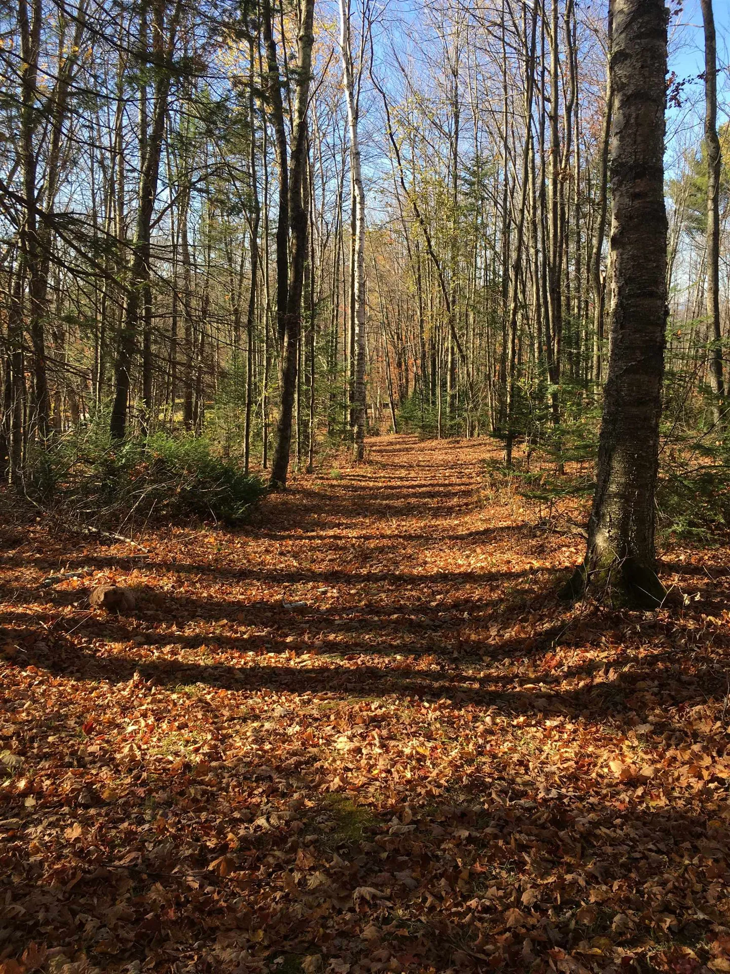 223 Goudreault Road Concord VT 05824