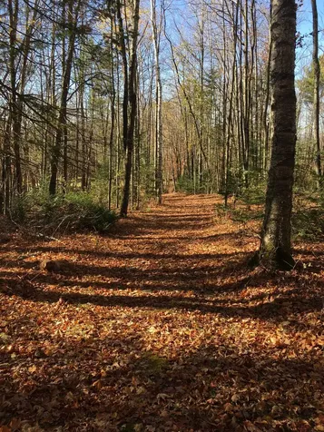 223 Goudreault Road Concord VT 05824