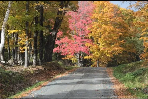 223 Goudreault Road Concord VT 05824