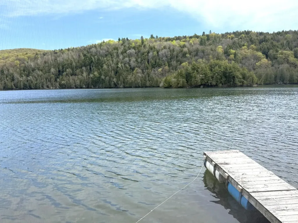 1338 Eligo Lake Road Greensboro VT 05841