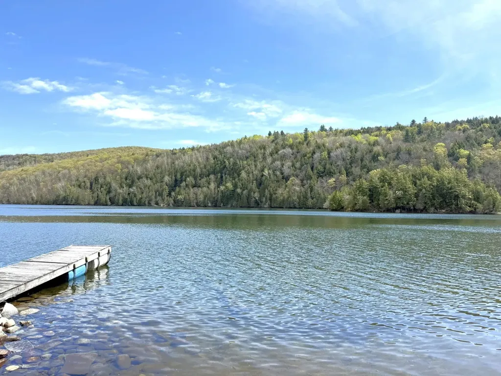 1338 Eligo Lake Road Greensboro VT 05841