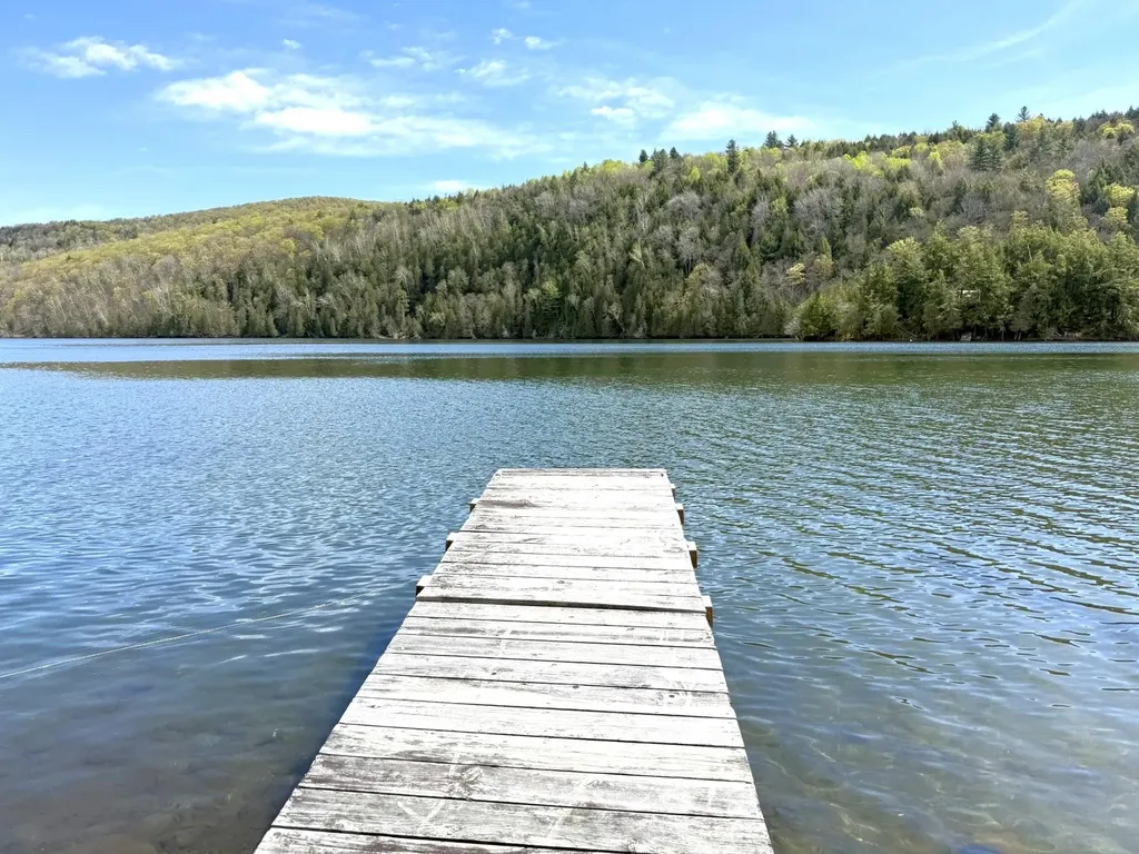1338 Eligo Lake Road Greensboro VT 05841