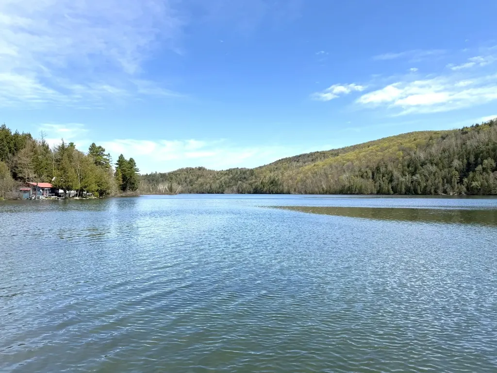 1338 Eligo Lake Road Greensboro VT 05841