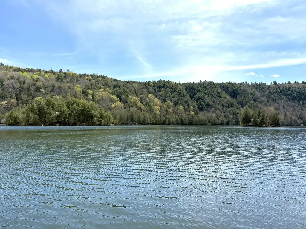 1338 Eligo Lake Road Greensboro VT 05841