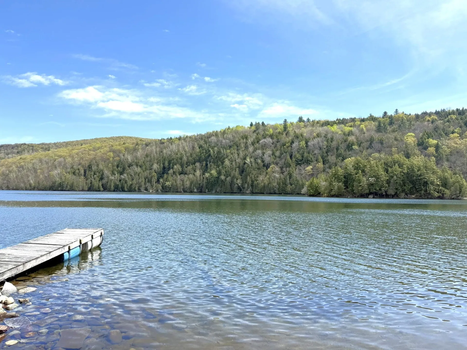 1338 Eligo Lake Road Greensboro VT 05841