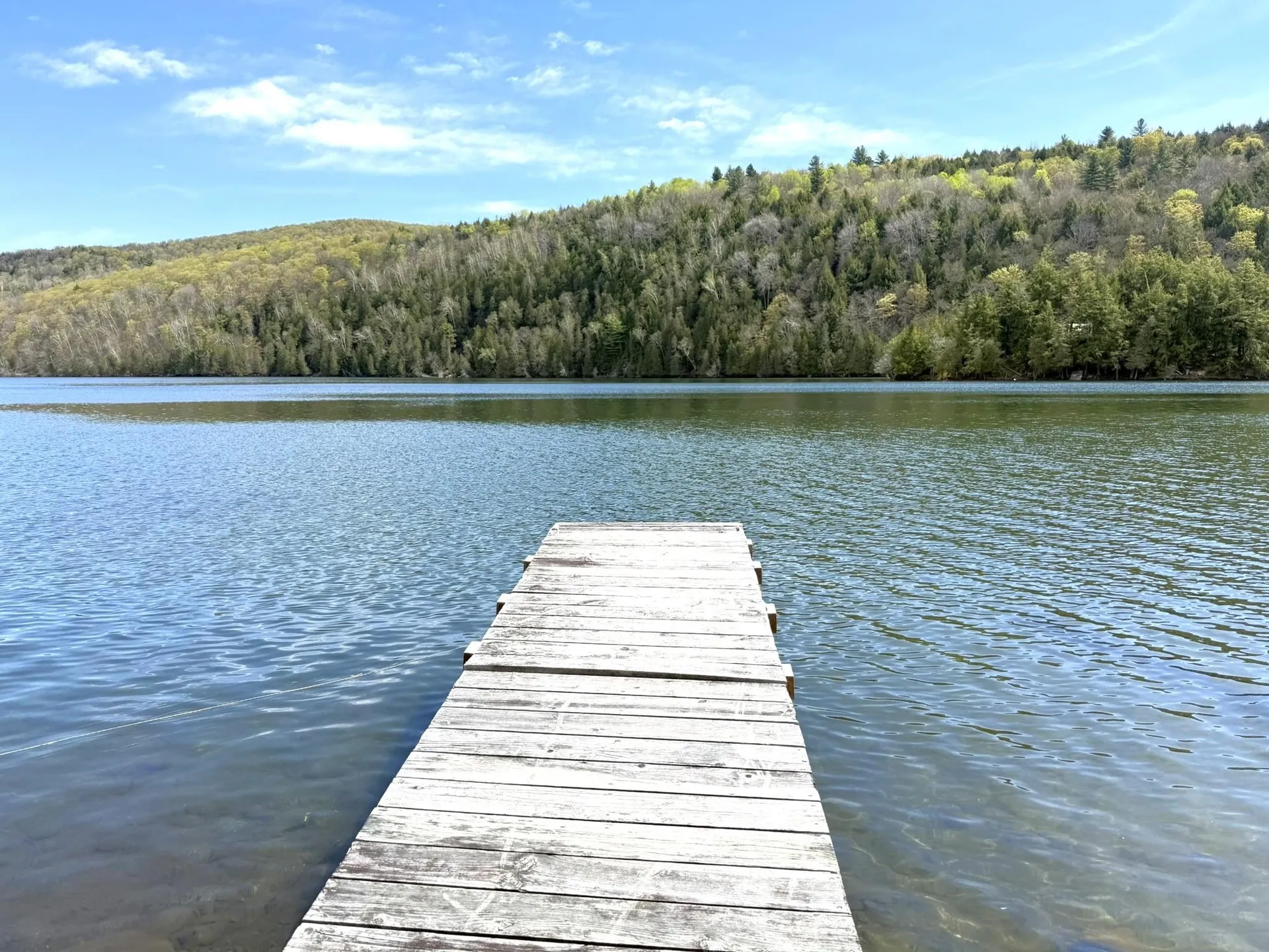 1338 Eligo Lake Road Greensboro VT 05841