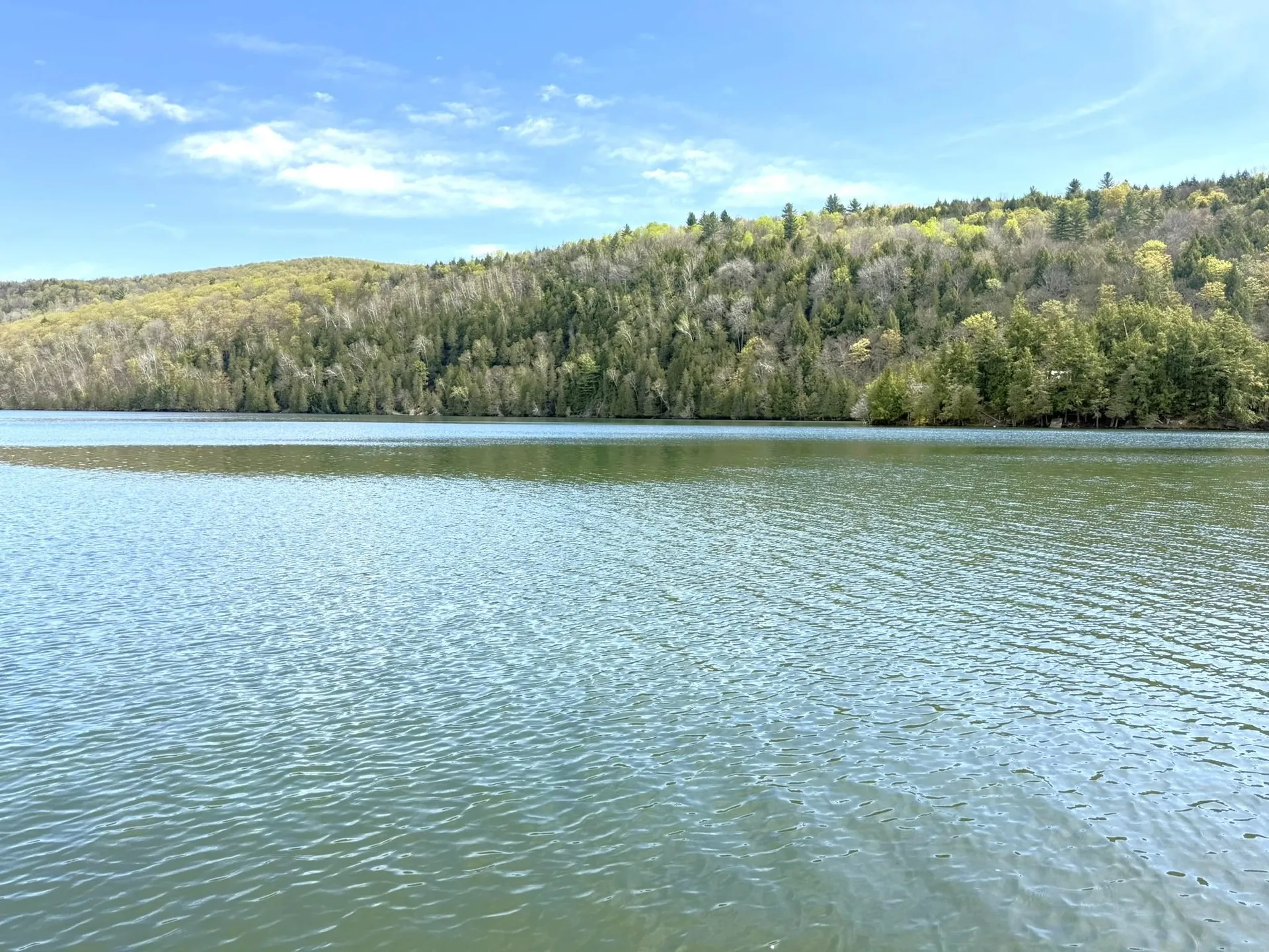 1338 Eligo Lake Road Greensboro VT 05841