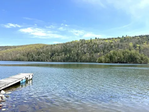 1338 Eligo Lake Road Greensboro VT 05841