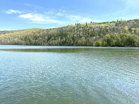 1338 Eligo Lake Road Greensboro VT 05841