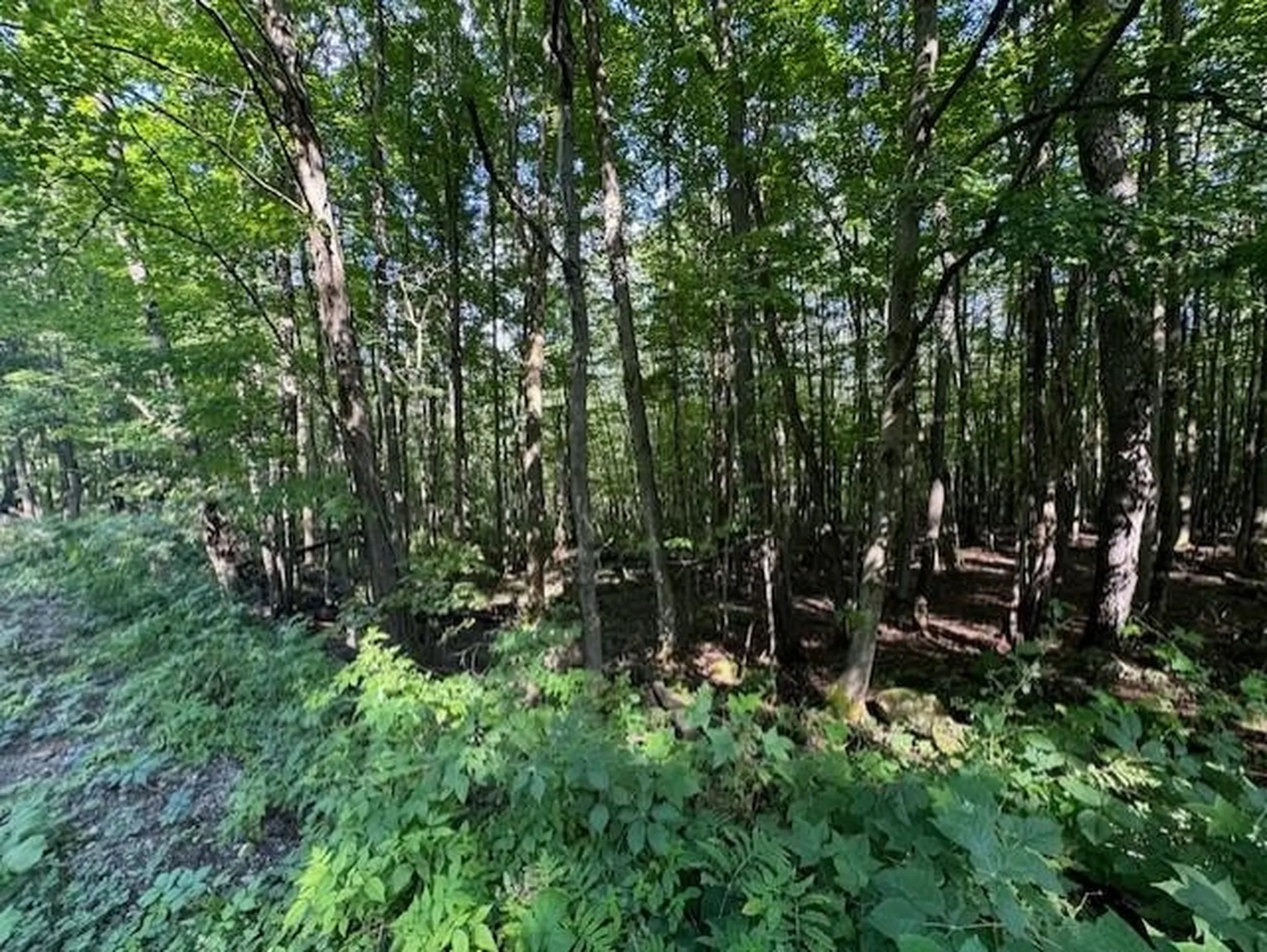00 Westhill Road Montgomery VT 05470