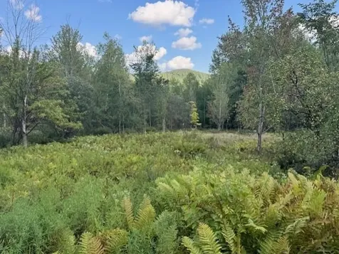 00 Westhill Road Montgomery VT 05470