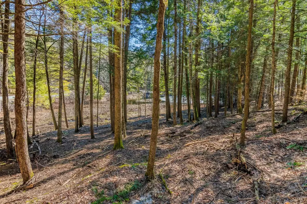 5209 Willard Road Hartford VT 05059