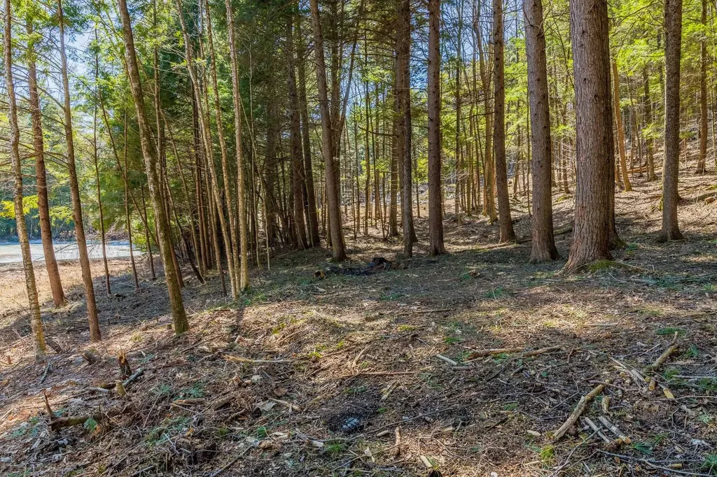 5209 Willard Road Hartford VT 05059