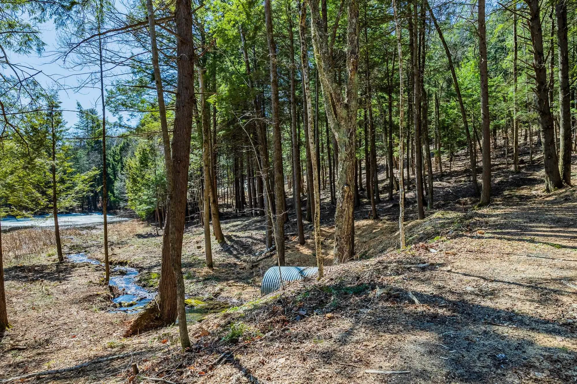 5209 Willard Road Hartford VT 05059
