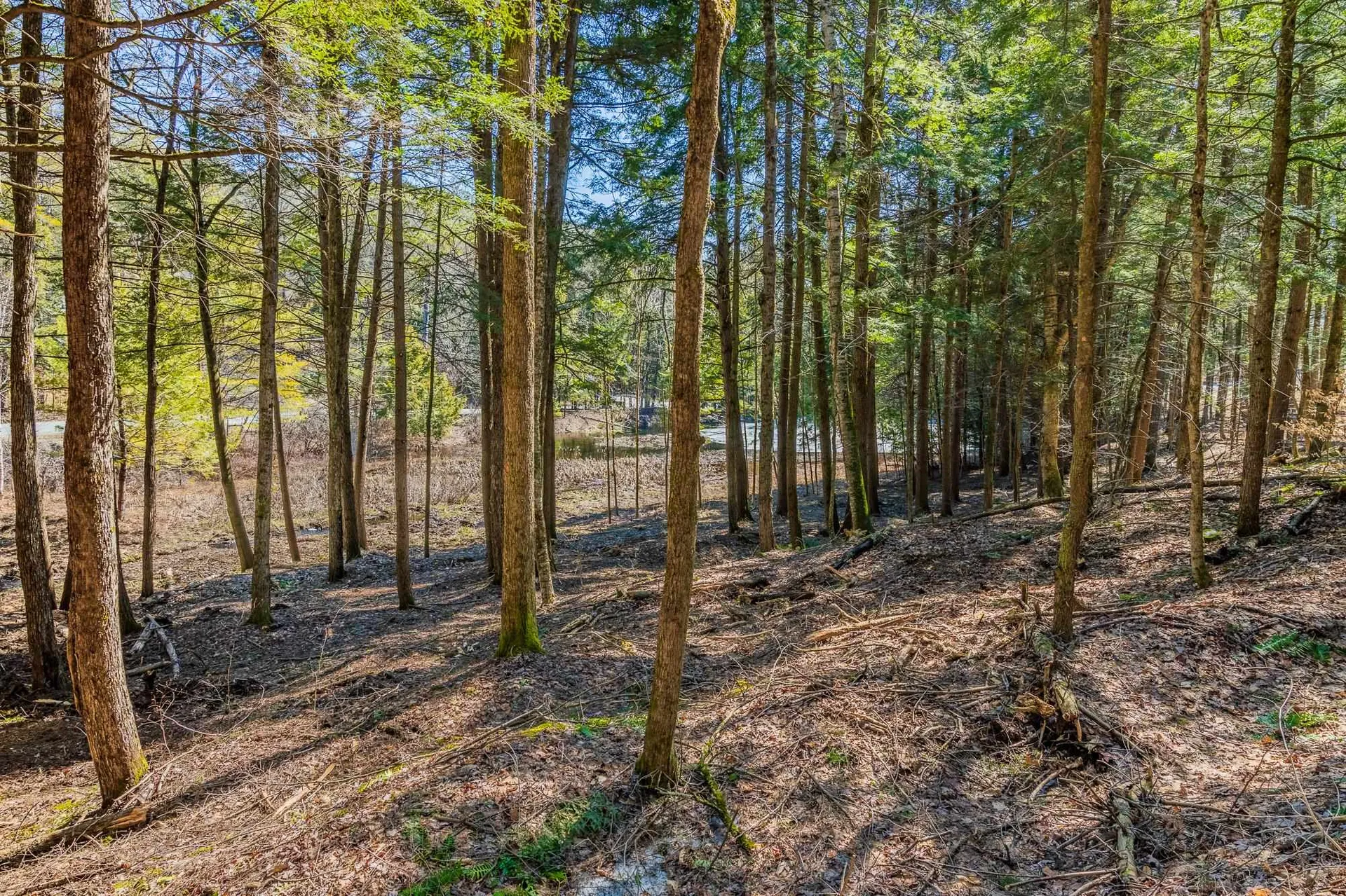 5209 Willard Road Hartford VT 05059