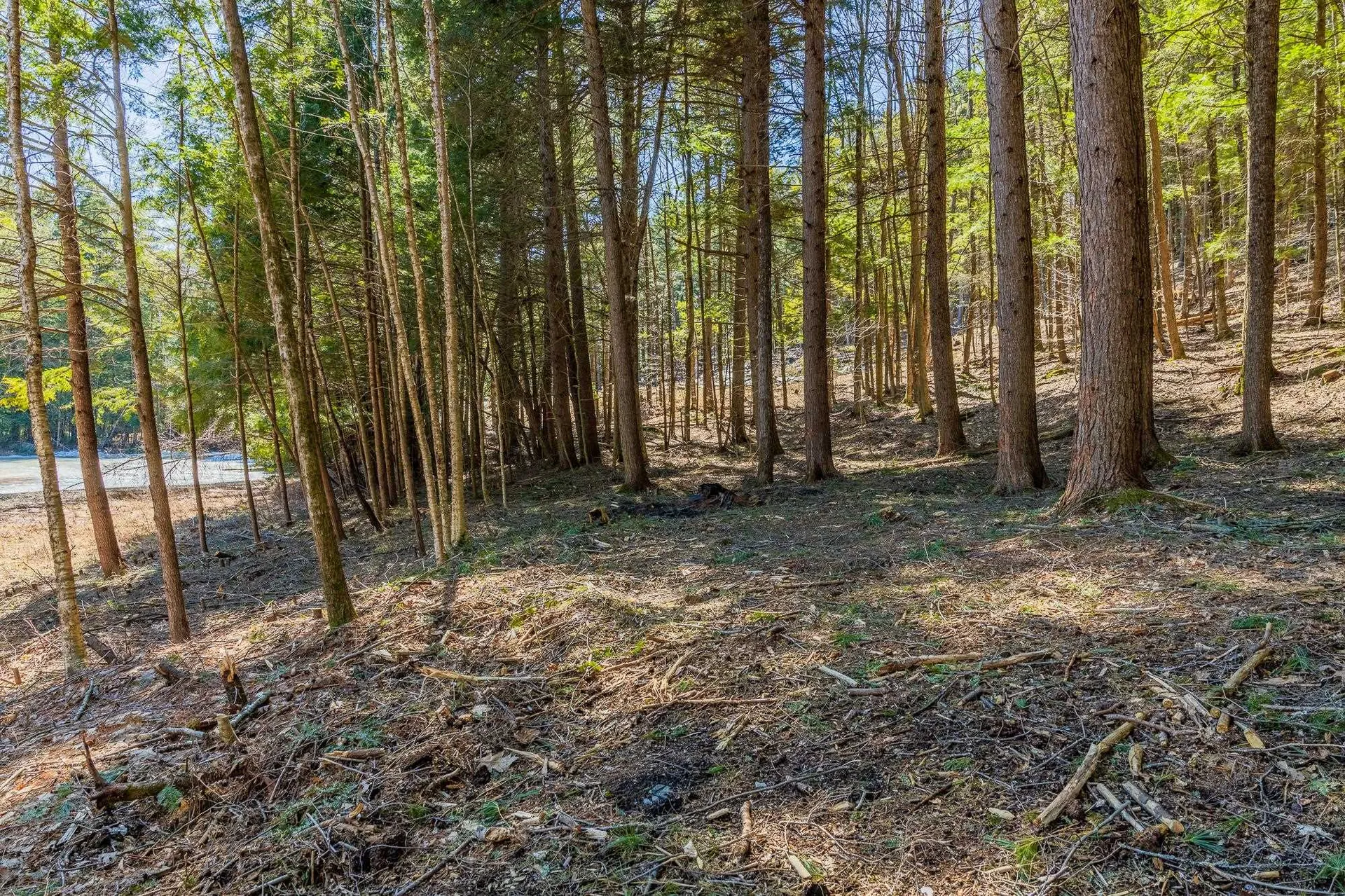 5209 Willard Road Hartford VT 05059